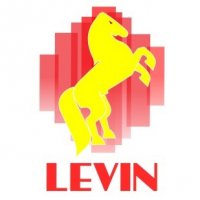 CÔNG TY CỔ PHẦN LEVIN