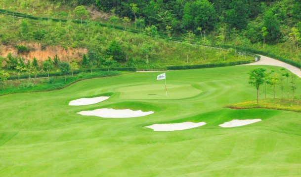 Hình ảnh 4 về FLC Gia Lai Golf Club & Luxury Resort