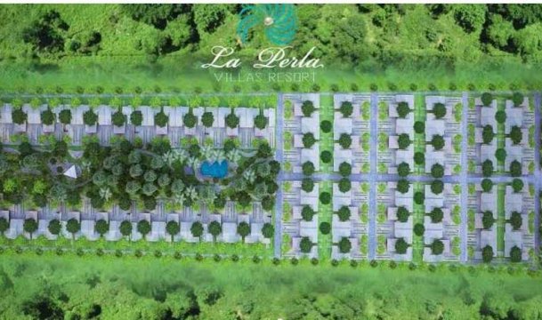 Hình ảnh 1 về La Perla Villas Resort