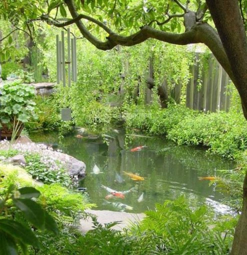 Bán Gấp Lô 3 Mặt Tiền Dt 14.000M2 Lô Đất Đẹp Thích Hợp Làm Nhà Vườn Tại Hoà Ninh Có Ao Cá Vườn Cây