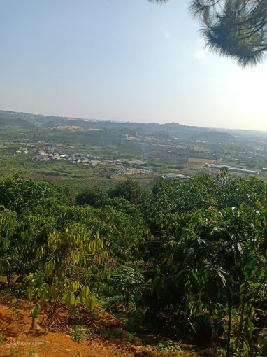 Đất View Khủng Xã Đại Lào - Tp Bảo Lộc - Lâm Đồng