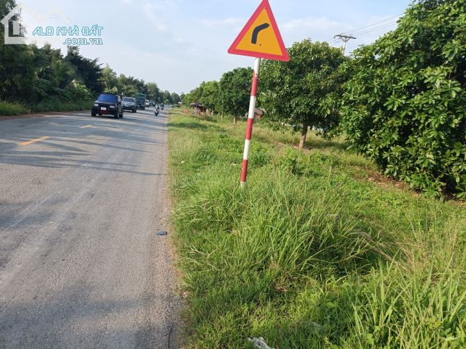 Bán Đất Mặt Tiền Quốc Lộ N2, Xã Long Thành, Huyện Thủ Thừa, Tỉnh Long An, Dt:1763M²