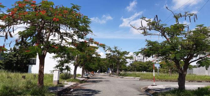 Dự Án Topia Garden, Đường Bưng Ông Thoàn - P. Phú Hữu - Quận 9, Nội Khu 12M. 100M2 3.5 Tỷ