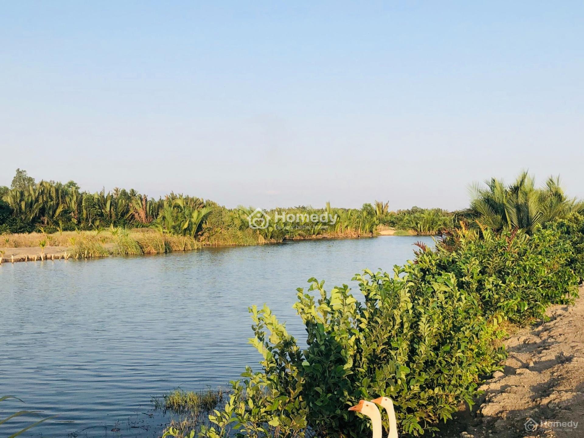 Bán Gộp 2 Thửa Đất Vườn Mặt Sông Tuyệt Đẹp Tại Phú Đông - Nhơn Trạch - Đồng Nai (40X42M)