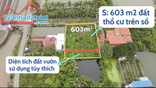 600M2 Đất Thổ Cư Tân Lập , Tân Thành, Dương Kinh, Hp Giá Hơn 10Tr