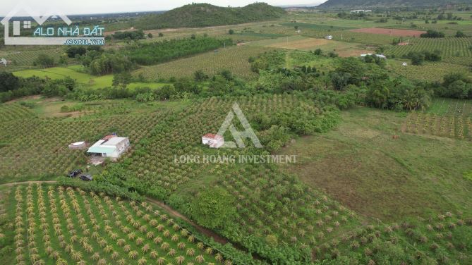 Tuyệt Phẩm Đất Hàm Thuận Farmstay Hơn 5000M2 Đã Có Thổ Cư