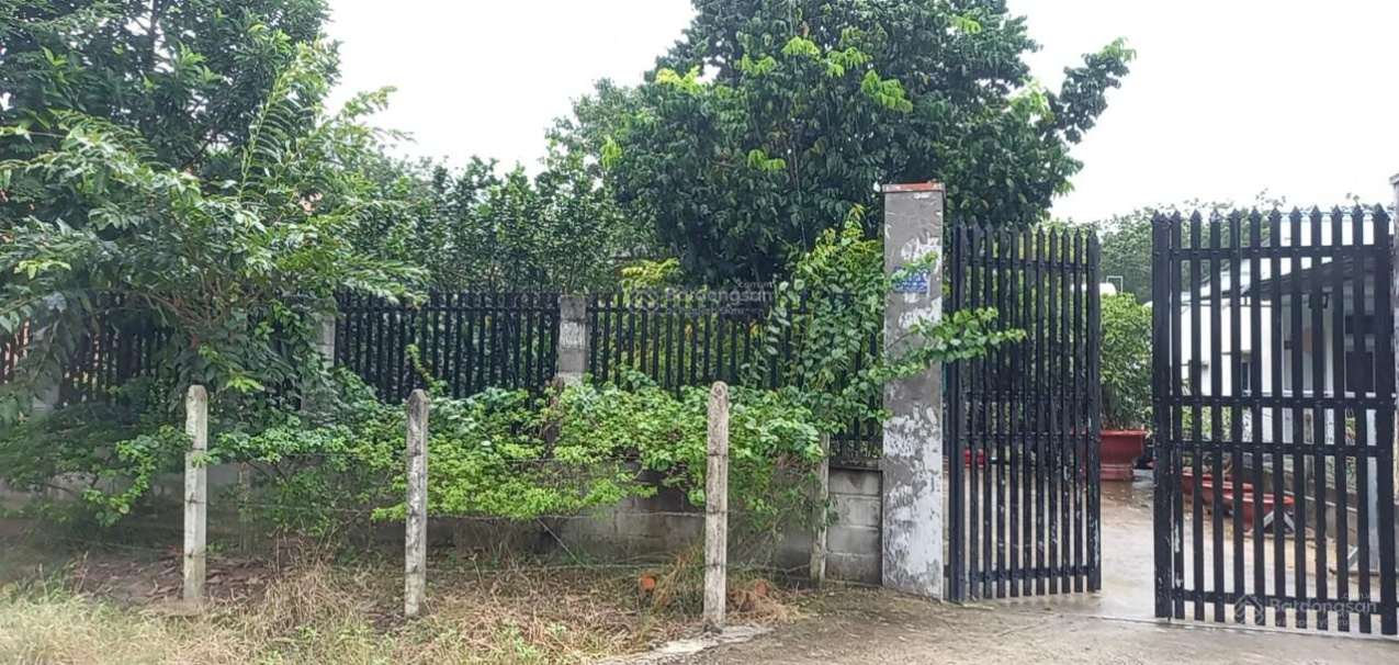 Cần Bán Nhà Vườn Nguyễn Thị Rành, Xã Nhuận Đức, Huyện Củ Chi, Tp Hồ Chí Minh