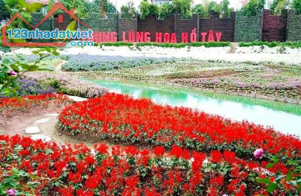 Bán Đất Tây Hồ- View Hồ Tây Lộng Gió- 2 Mặt Đường Ô Tô Tải Tránh- 430M- Mt 12M- 59 Tỷ