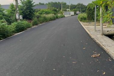 Nhà Vườn 1000M2 (300 Thổ), 1 Tỷ 7 Nguyễn Thị Rành, Trung Lập Hạ, Củ Chi. Sổ Hồng Riêng