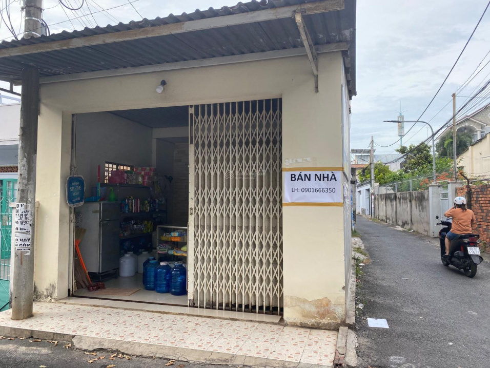 3442889 ảnh đại diện 1