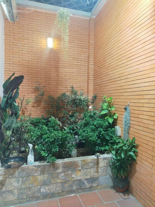 3453481 ảnh đại diện 2