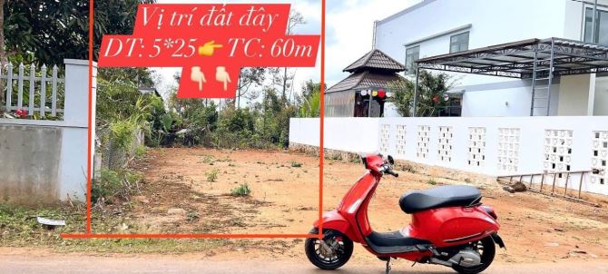 Bán Đất Mặt Tiền Đường Nhựa Hẻm 171 Nguyễn Thái Bình Xã Hoà Thắng Tp Bmt
