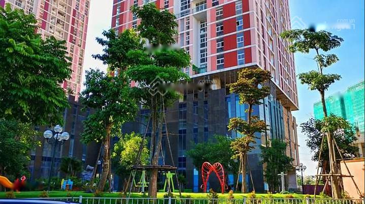 3462042 ảnh đại diện 1