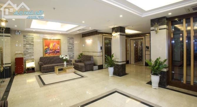 3461490 ảnh đại diện 2