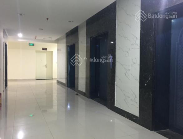 3462042 ảnh đại diện 1