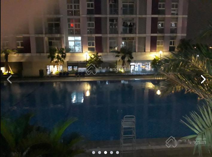 3462042 ảnh đại diện 2