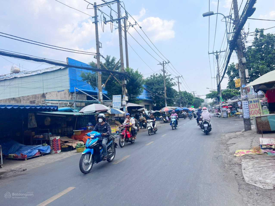 3466593 ảnh đại diện 1