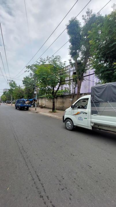 3469974 ảnh đại diện 1