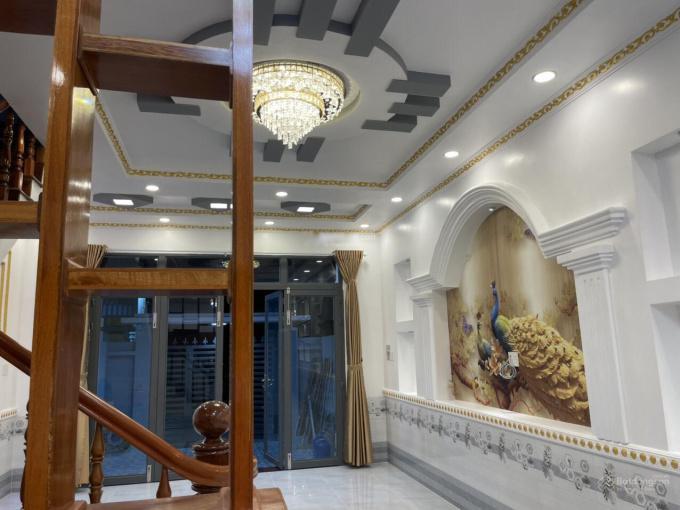 3471057 ảnh đại diện 1