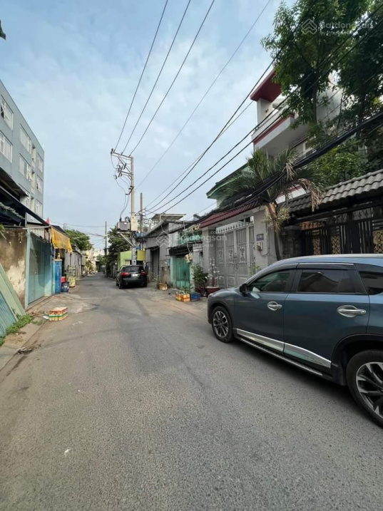 3469977 ảnh đại diện 1