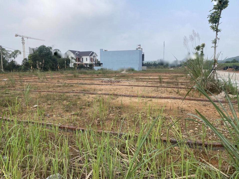 3470899 ảnh đại diện 2