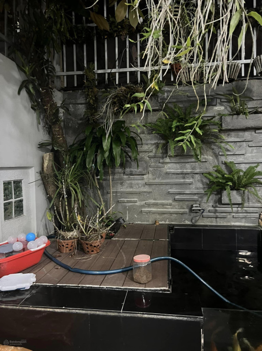 3469971 ảnh đại diện 2