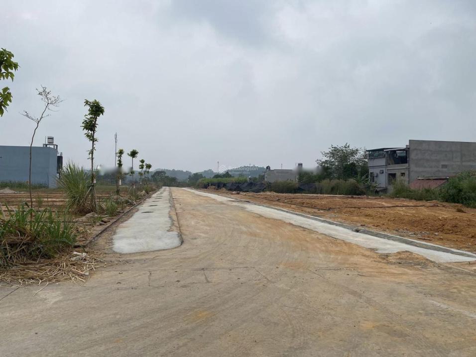 3472675 ảnh đại diện 1