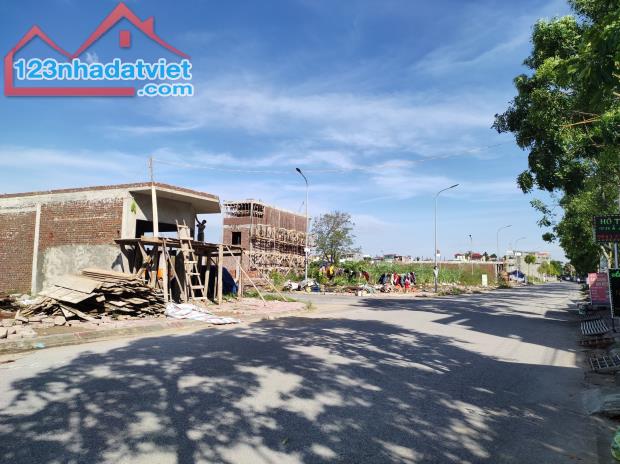 3481445 ảnh đại diện 1