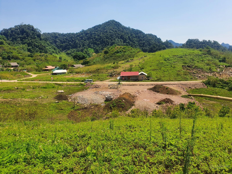 3480903 ảnh đại diện 2
