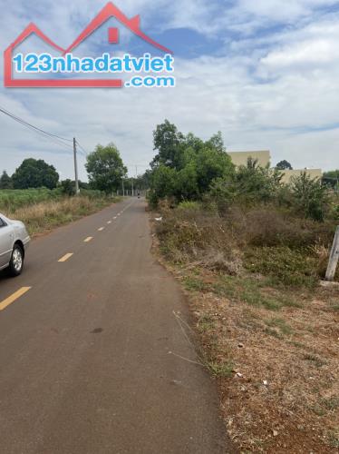 3487937 ảnh đại diện 1