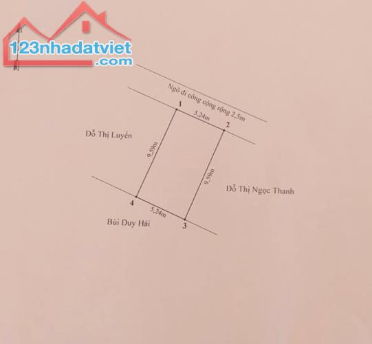 3488632 ảnh đại diện 1