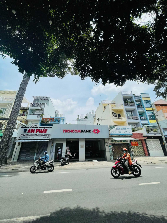 3491771 ảnh đại diện 1