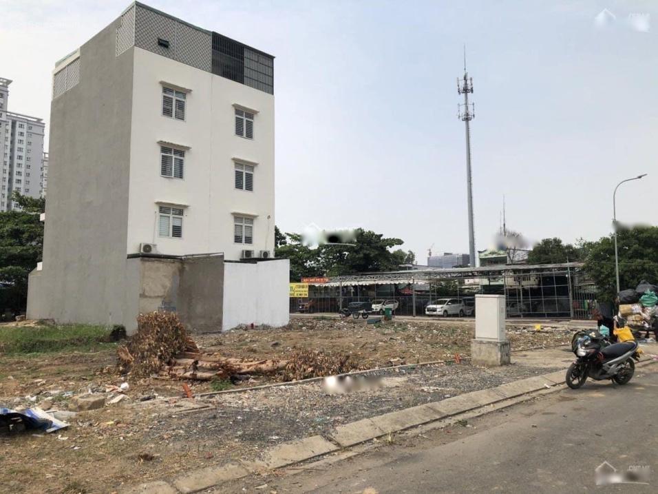3496776 ảnh đại diện 2
