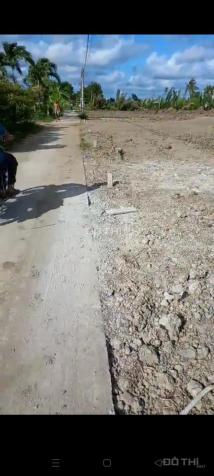 3499880 ảnh đại diện 1