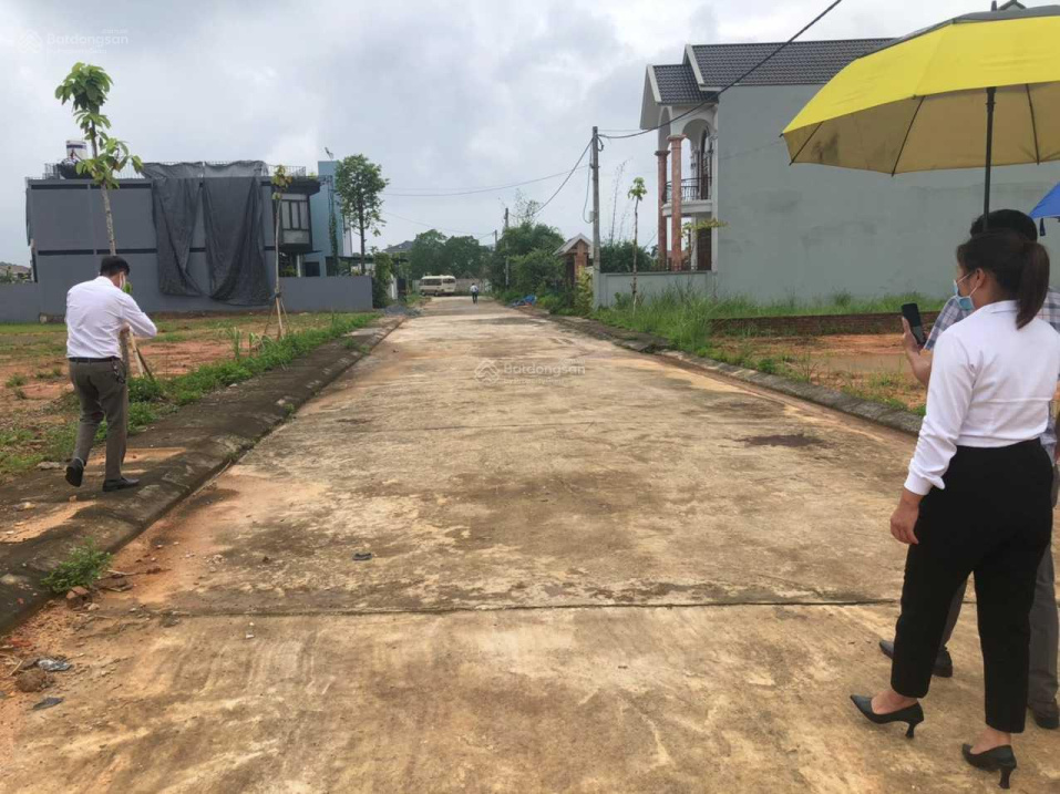 3503038 ảnh đại diện 1