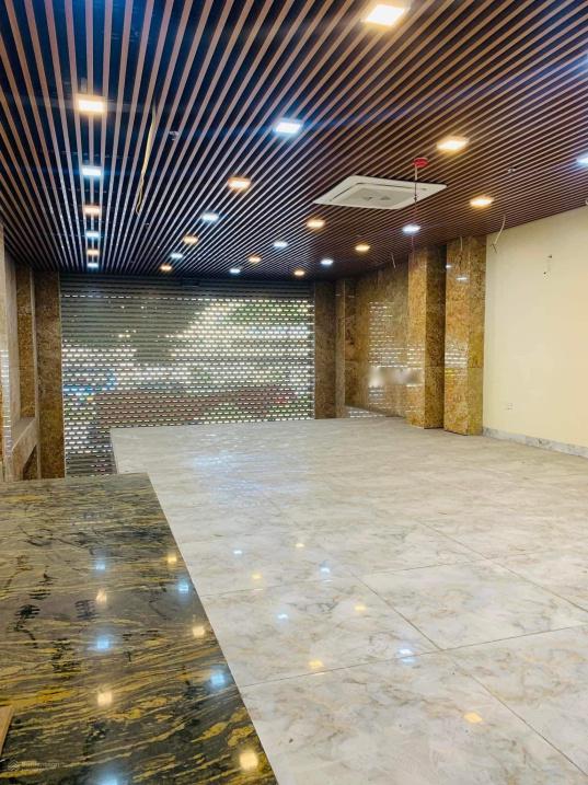 3499025 ảnh đại diện 1