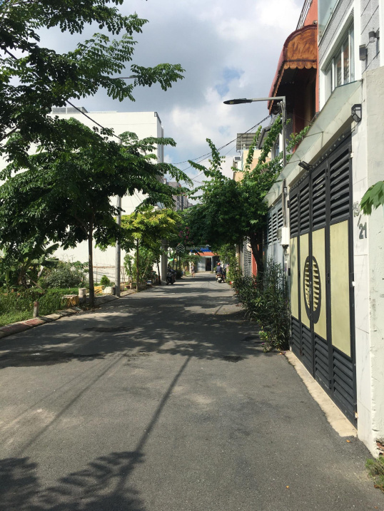 3498697 ảnh đại diện 1