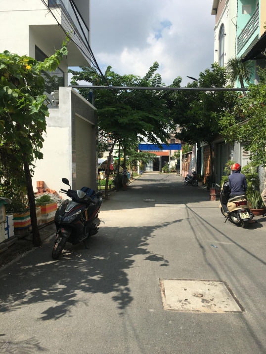 3498697 ảnh đại diện 1