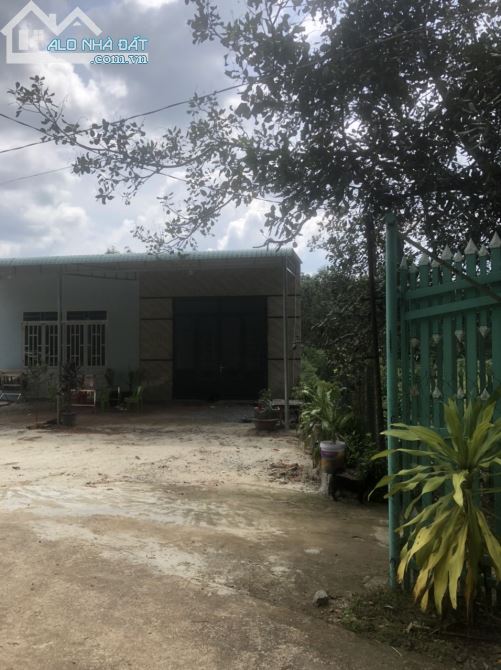 3504279 ảnh đại diện 1