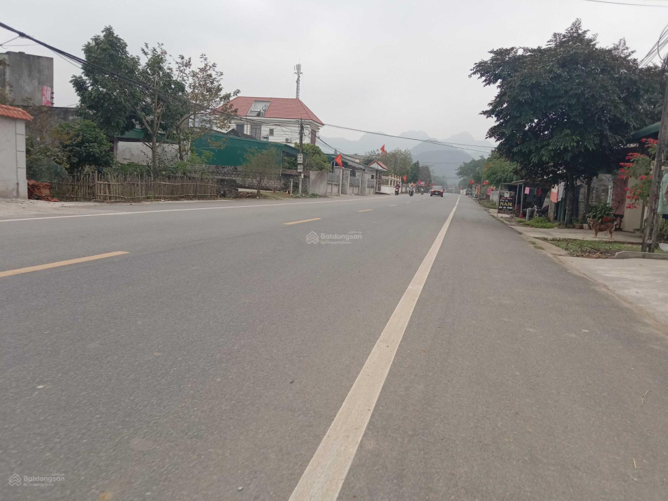 3507422 ảnh đại diện 2