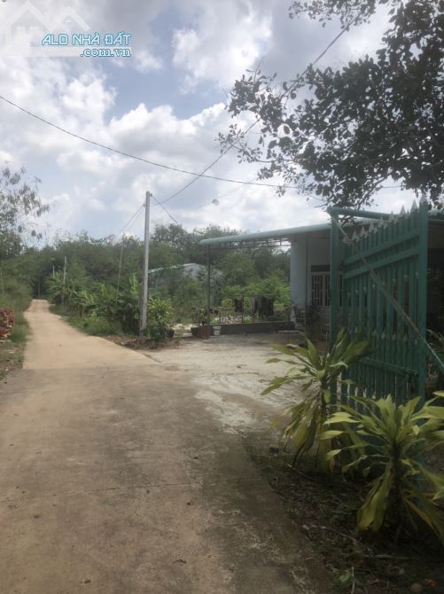 3504279 ảnh đại diện 1
