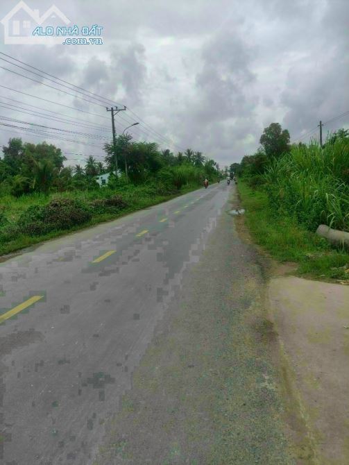 3504239 ảnh đại diện 1