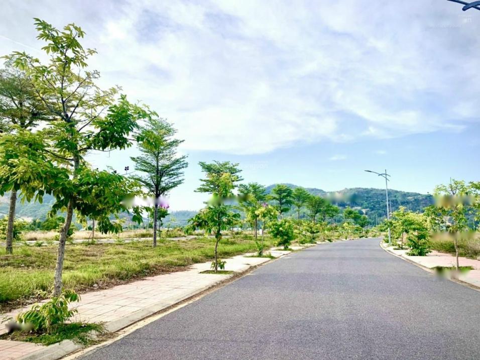 3510776 ảnh đại diện 1