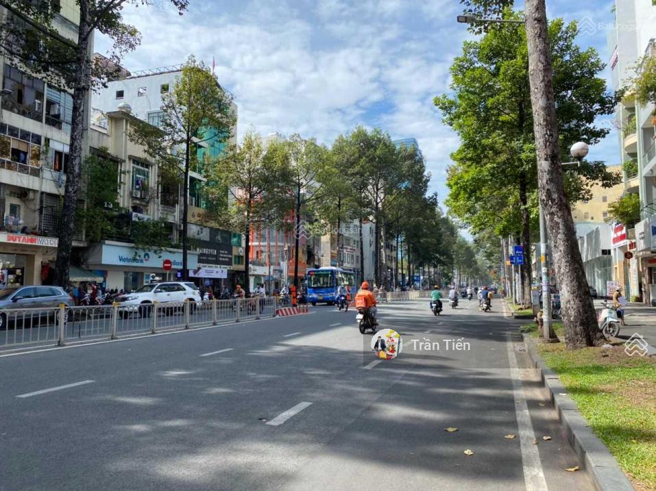 3509955 ảnh đại diện 2