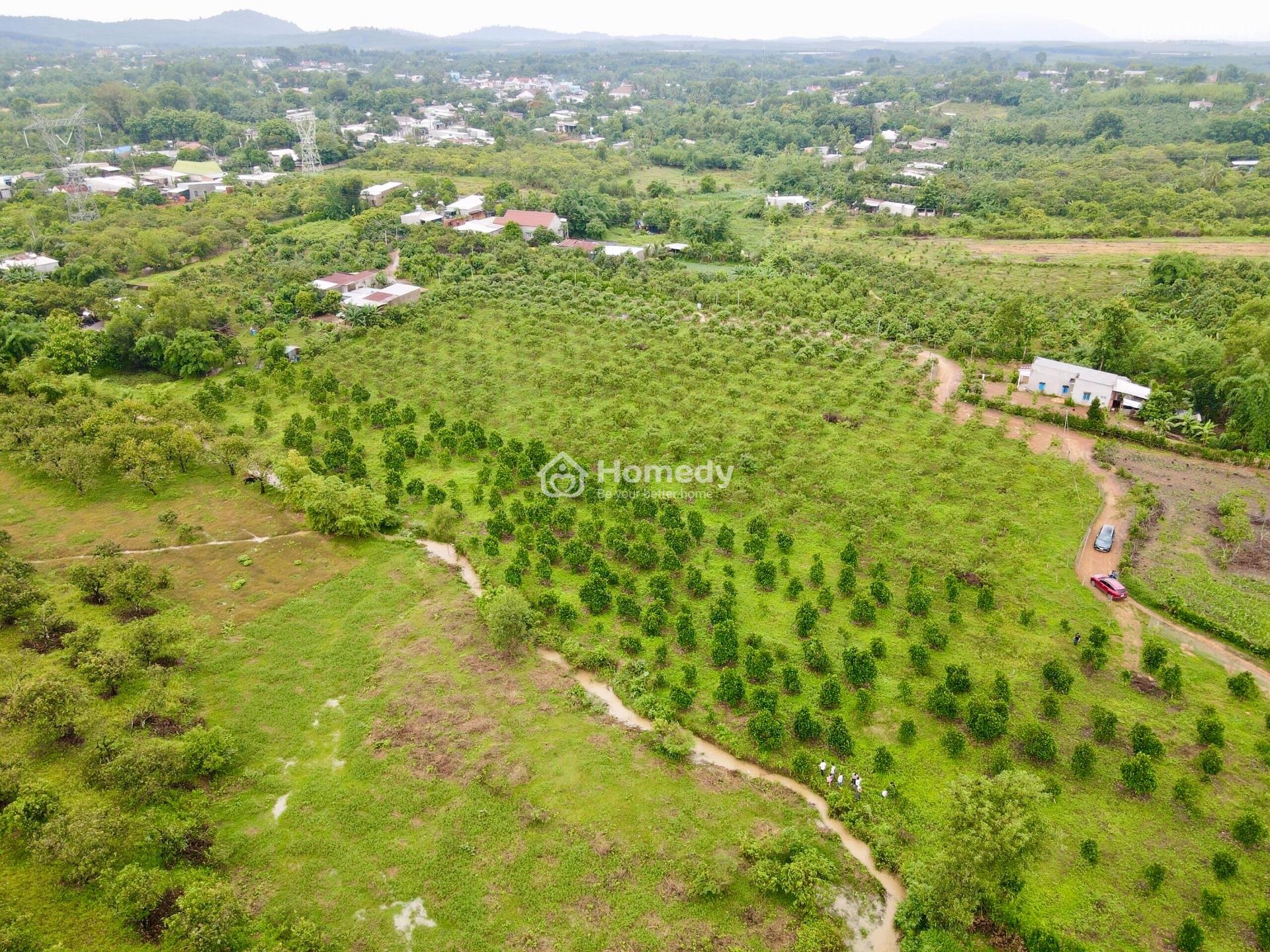 3000M2 Vườn Xoài - Mít Ngay Khu Dân Cư Đông, Có Quy Hoạch Đất Ở, Liên Hệ Gặp Chính Chủ : 0917397***