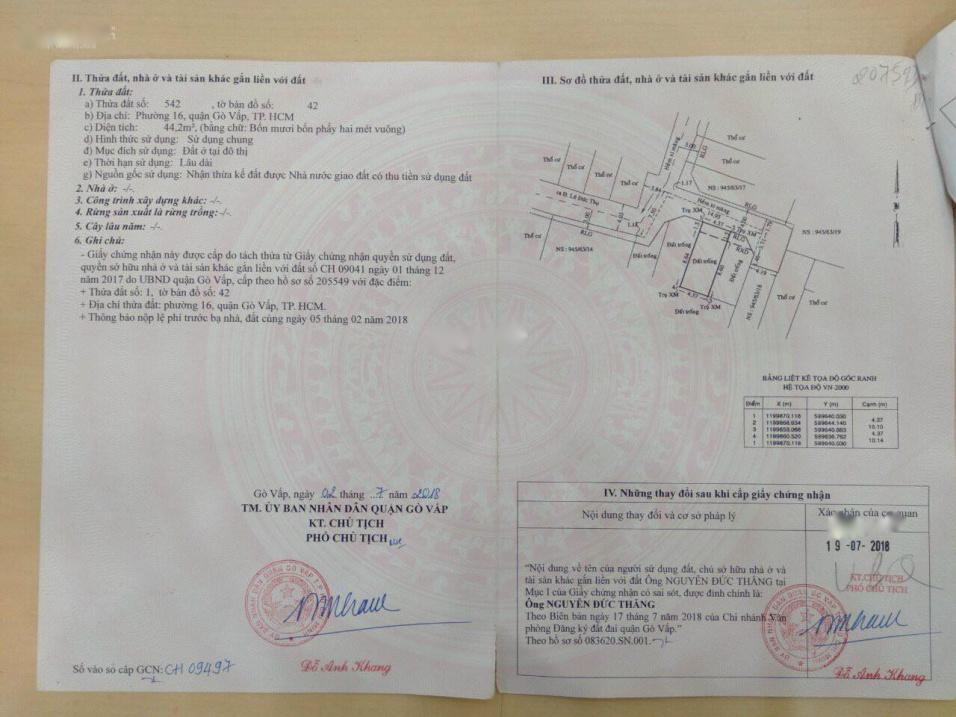 3515423 ảnh đại diện 2