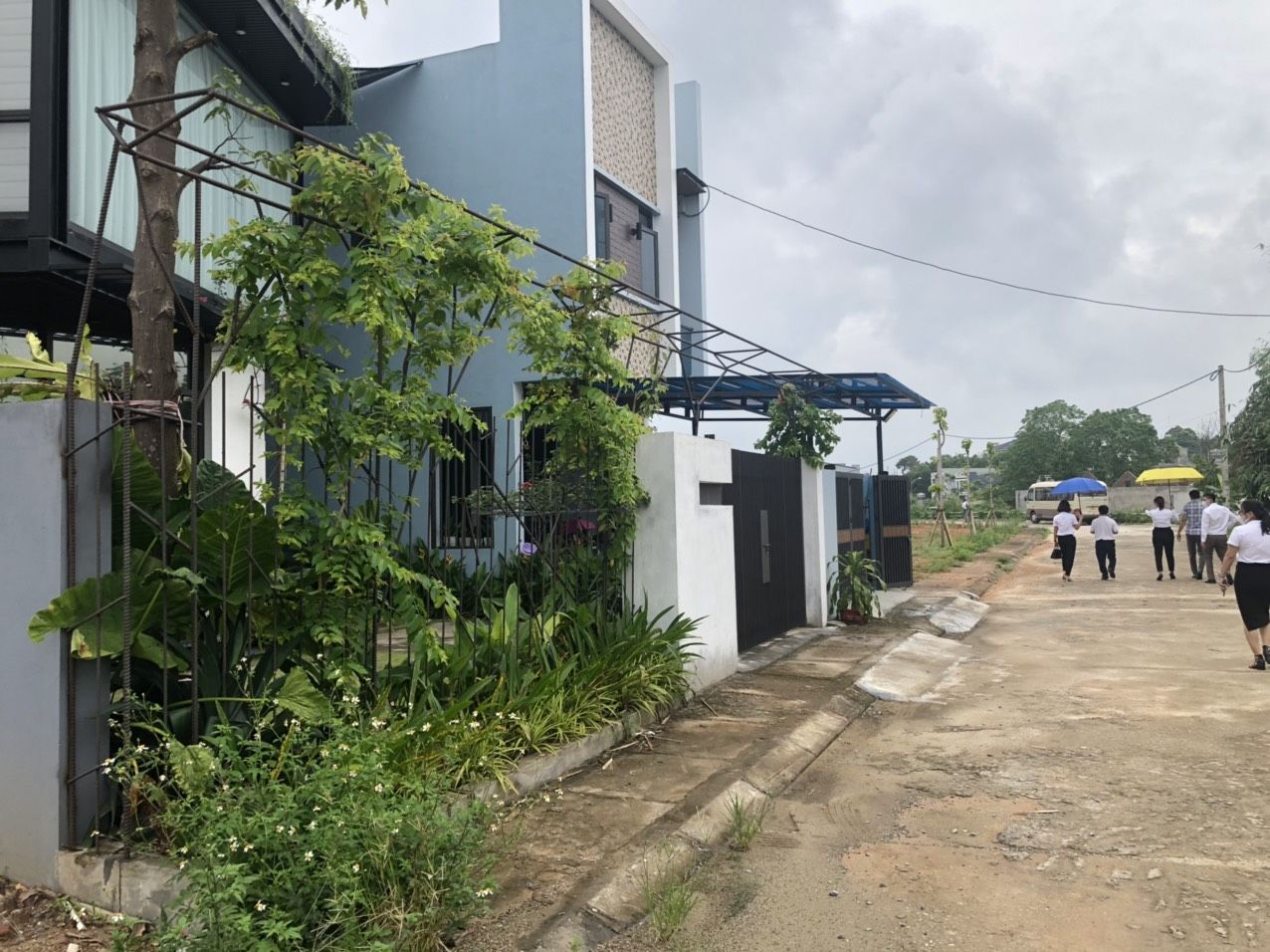 3519358 ảnh đại diện 1
