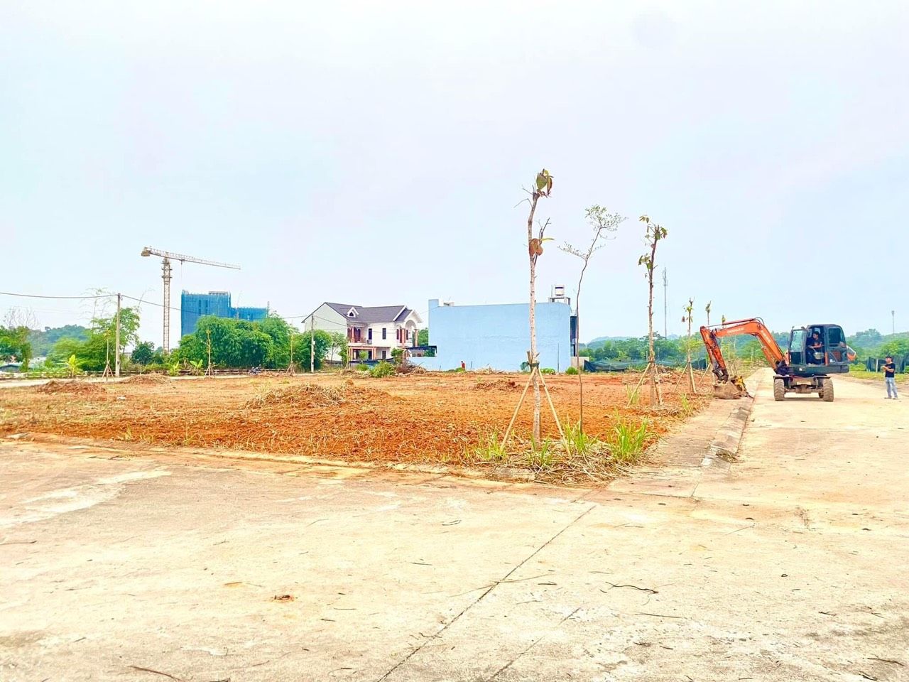 3519358 ảnh đại diện 2