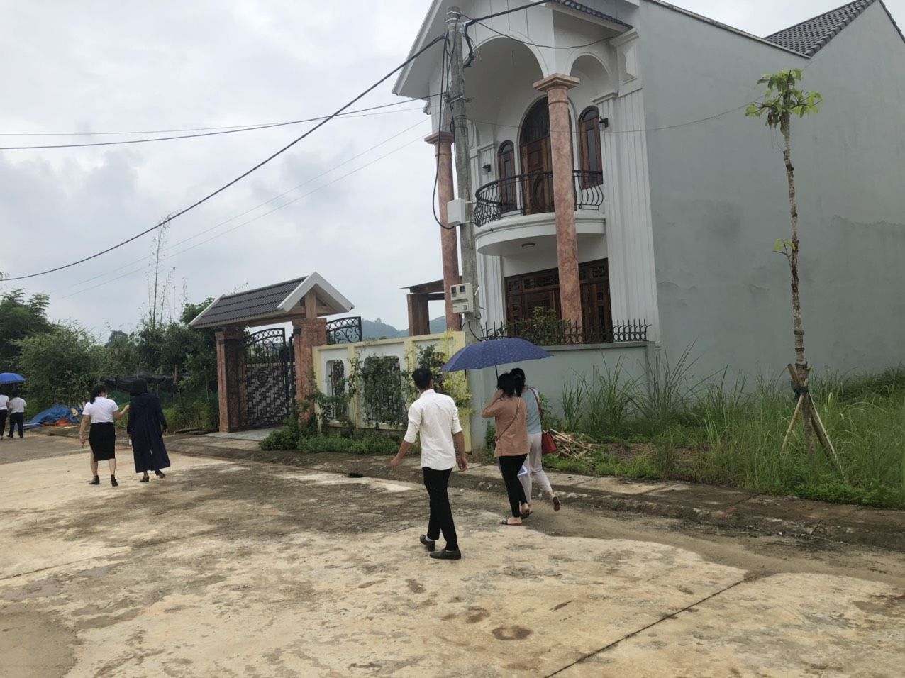 3519357 ảnh đại diện 2