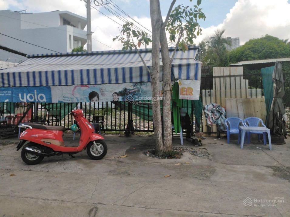 3519312 ảnh đại diện 1